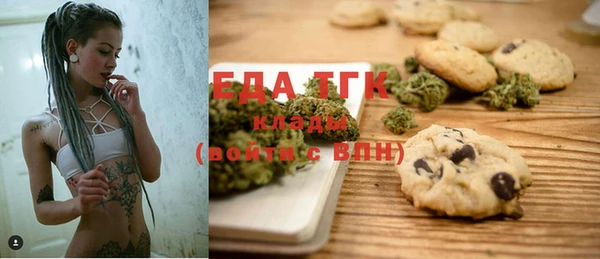 сатива Инта