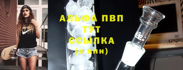 сатива Инта