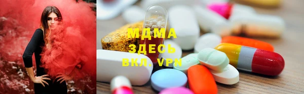 сатива Инта
