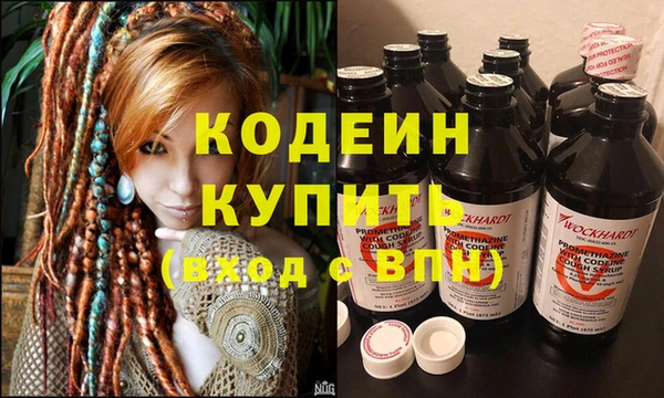 сатива Инта