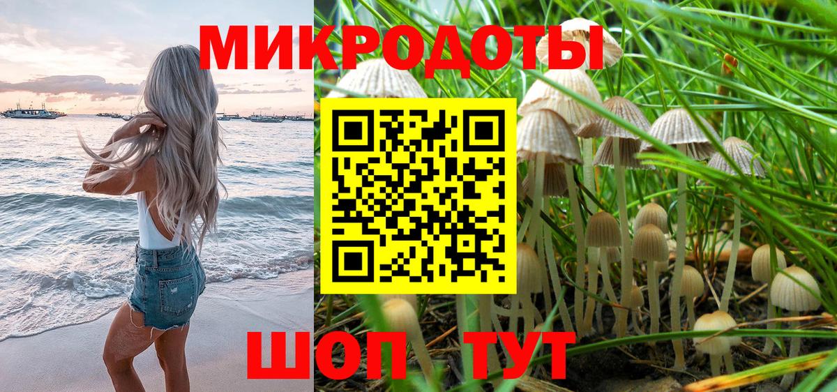 Грозный  Псилоцибиновые грибы GOLDEN TEACHER  Вход с VPN  Галлюциногенные грибы MAGIC MUSHROOMS 