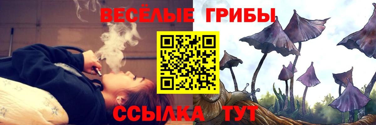 Галлюциногенные грибы Psilocybe Грозный