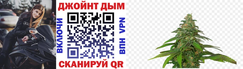 Бошки Шишки сатива Грозный