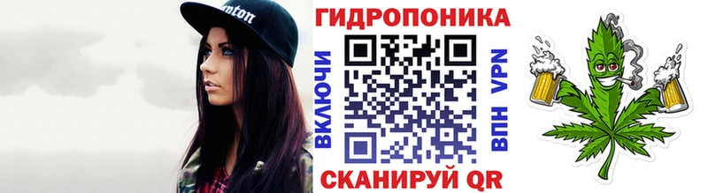 Канабис VHQ мега ссылки Грозный
