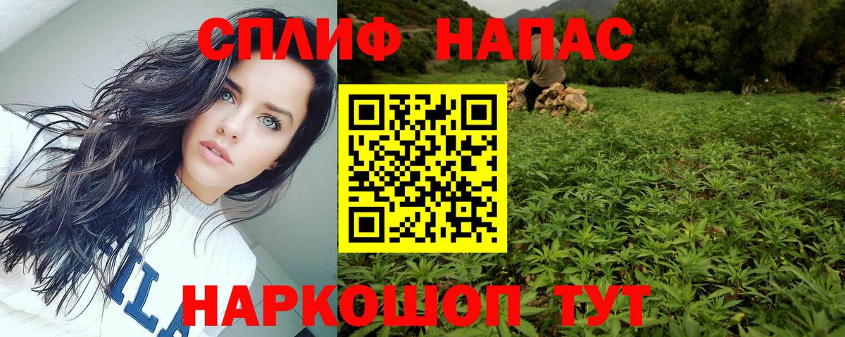 Канабис ГИДРОПОН  МАРИХУАНА MAZAR  Каннабис планчик  Грозный 